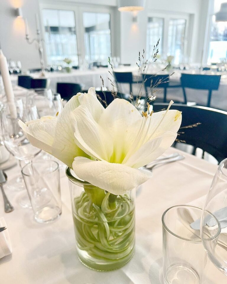 Vit amaryllis i glasvas på ett vitdukat bord i restaurangen